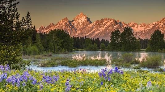 Jackson Hole